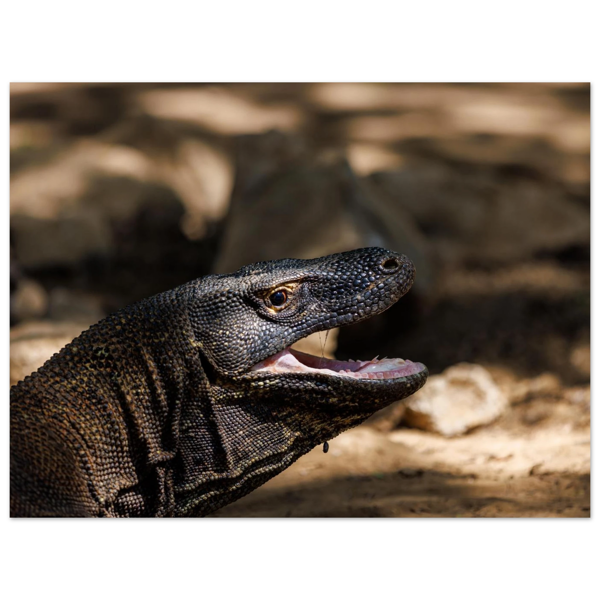 a04792fb-8bda-4a0d-a6f4-d9e1ffd940e1