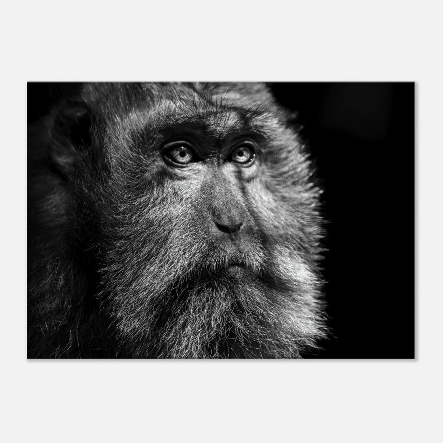 a09d0c67-fa0a-4e11-beab-78c2f2116fea