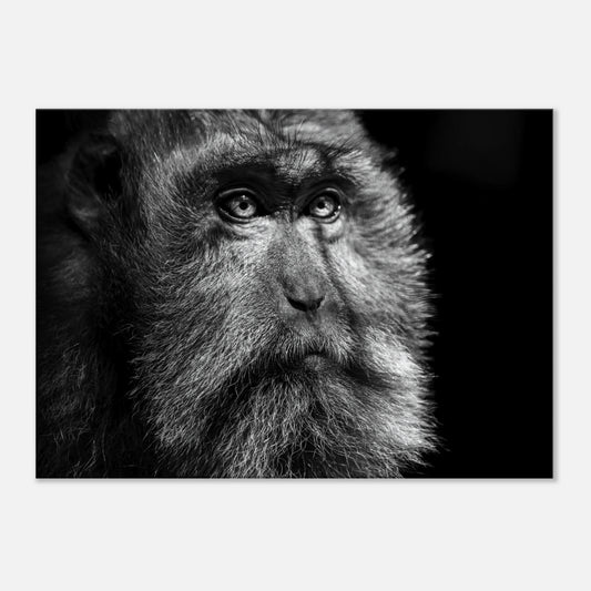 a09d0c67-fa0a-4e11-beab-78c2f2116fea