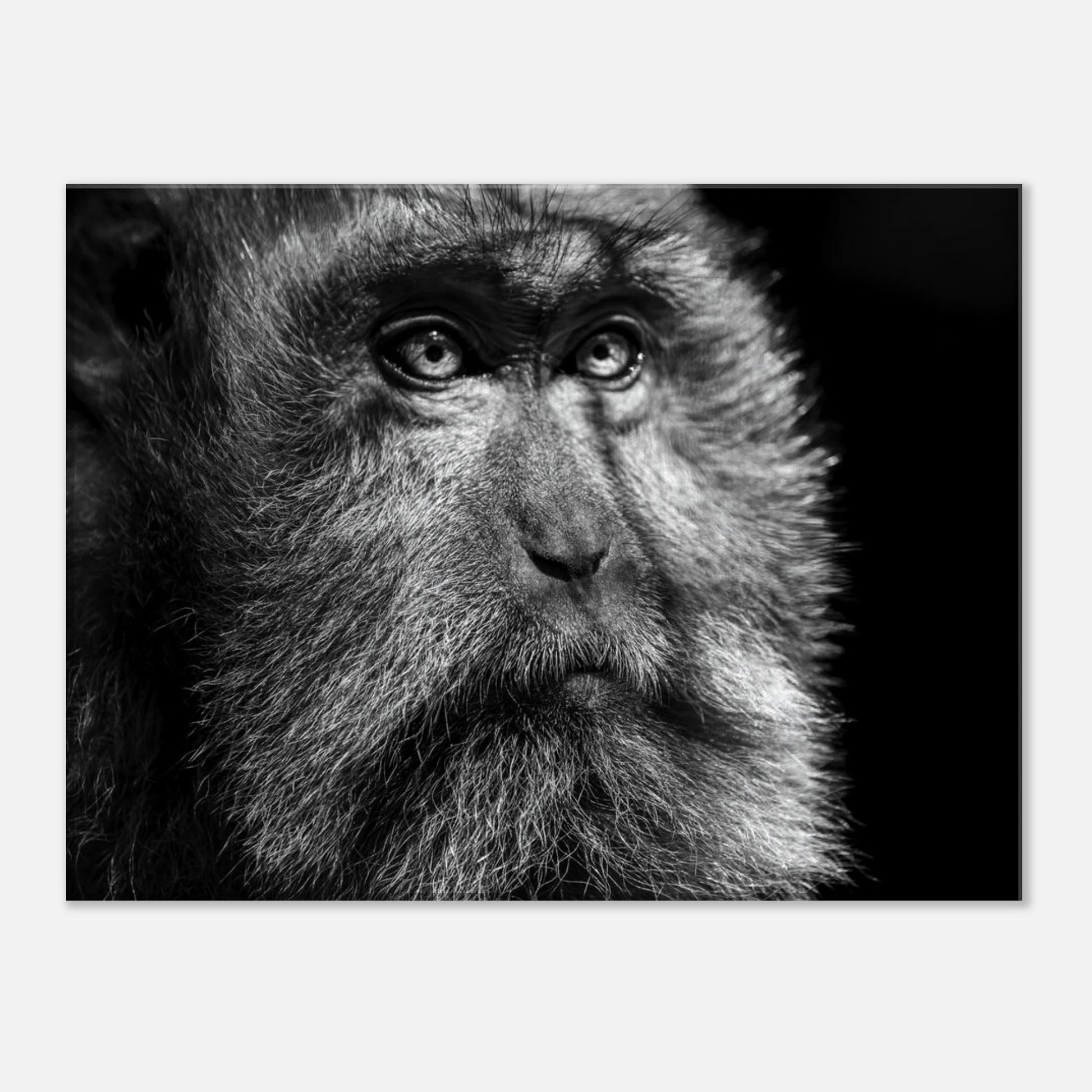 a314775f-4344-4faa-9394-766e48825cdb