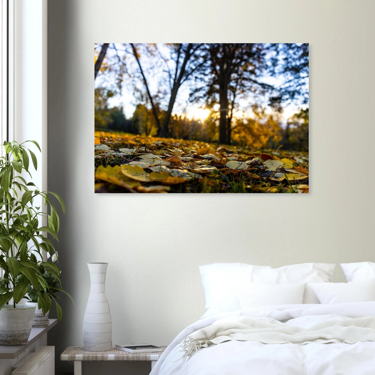 a5b33b9c-558c-4ab2-9f0d-0efe425b2474