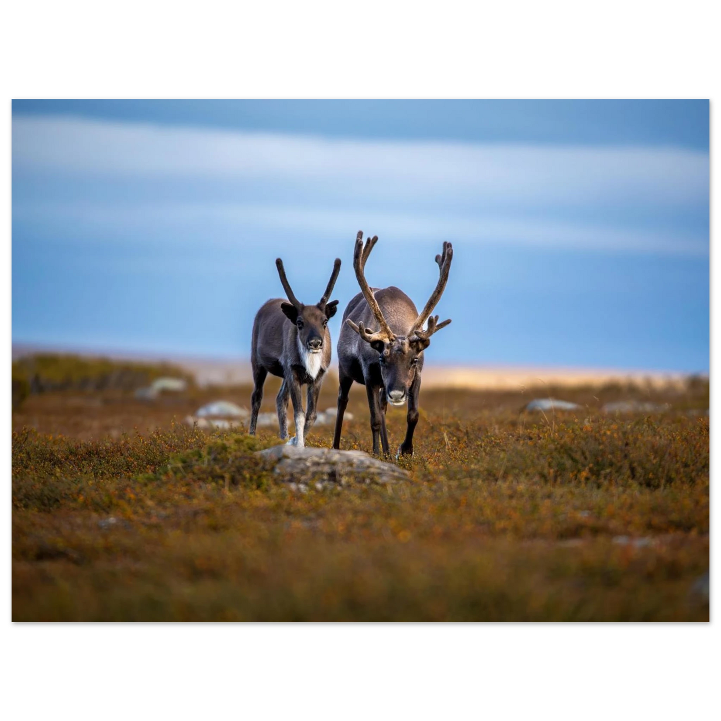 a613a45c-873a-42fc-909c-14f50828f168