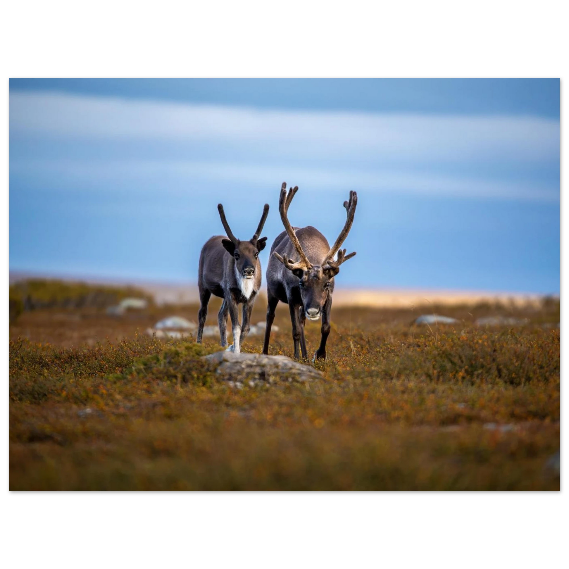 a613a45c-873a-42fc-909c-14f50828f168