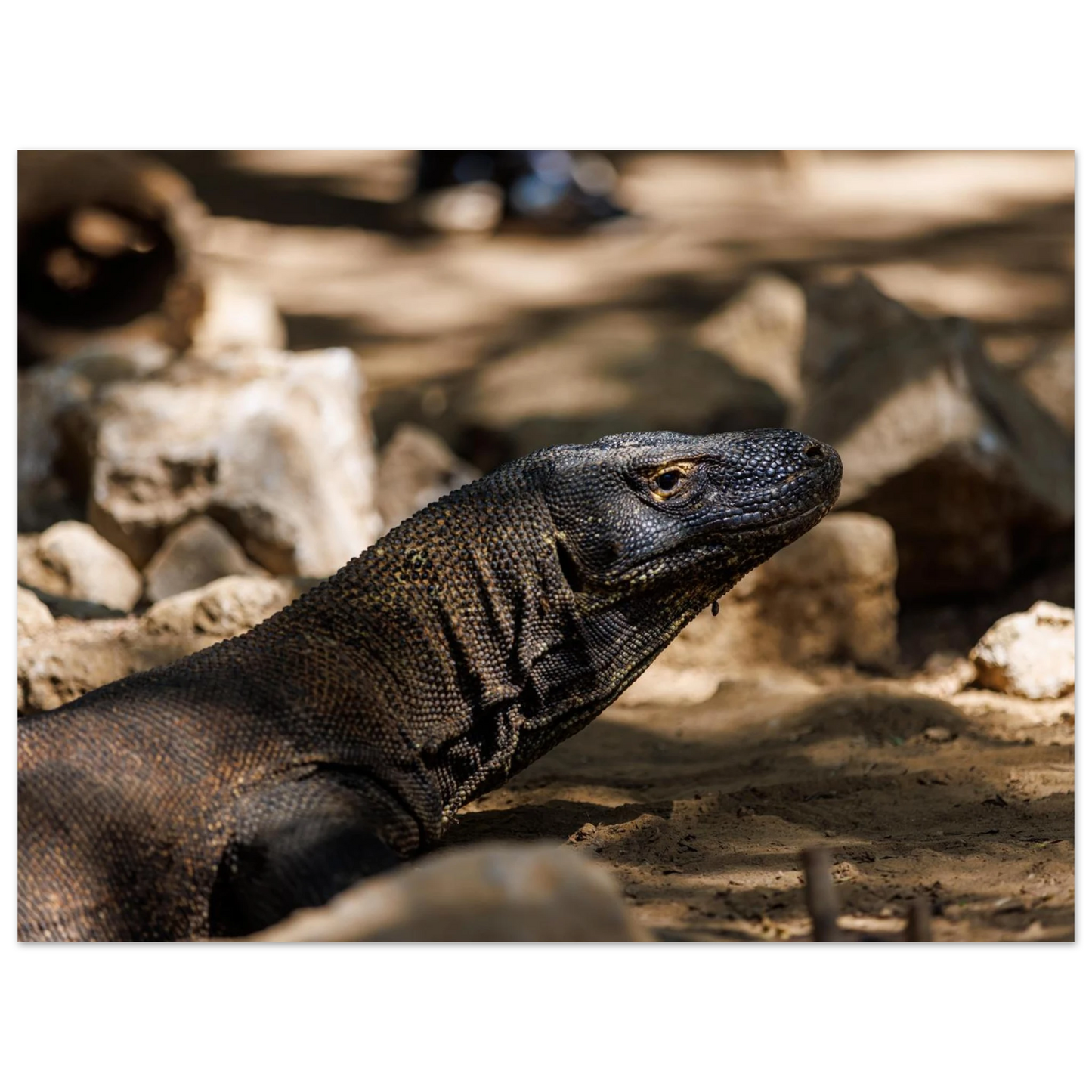 a99b8dc0-14b3-4f48-8396-b4f0d7c4fc45