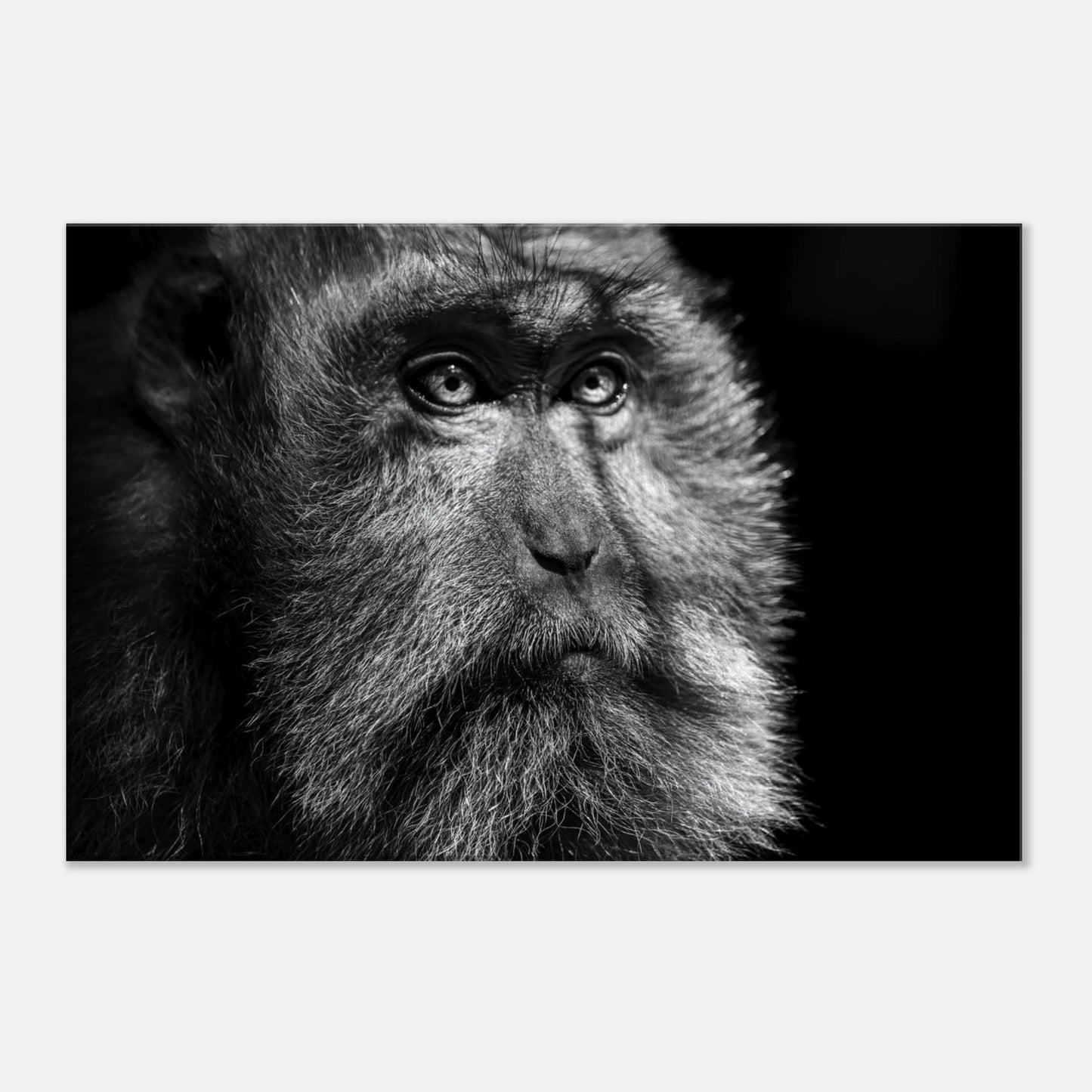 ae19f676-c029-4ce5-9a21-fb862664670b