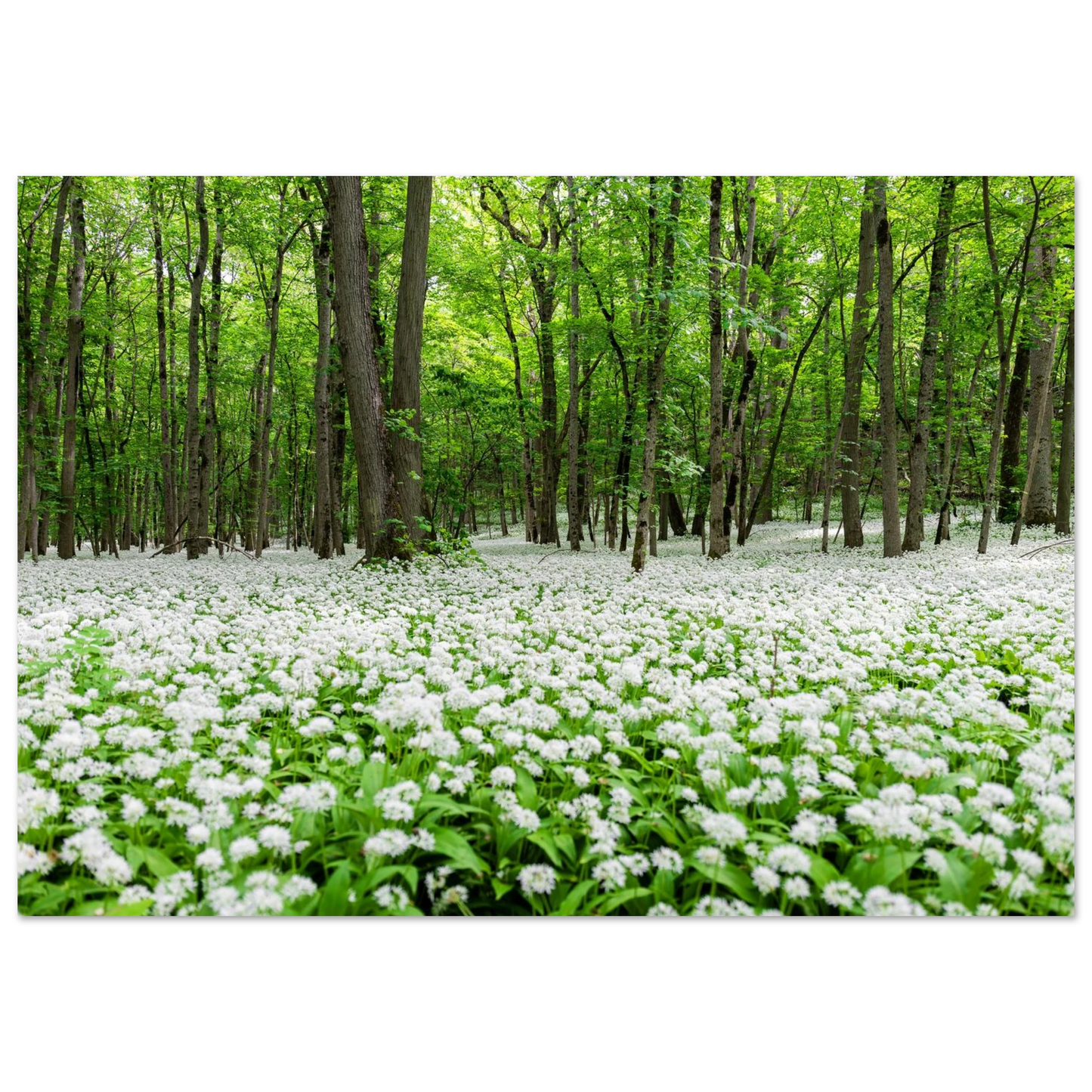 ae621f98-71d5-460c-a289-bf5a8cbad4c8