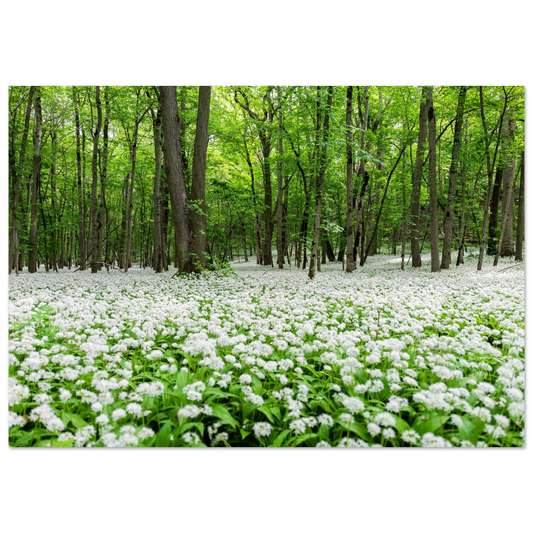 ae621f98-71d5-460c-a289-bf5a8cbad4c8