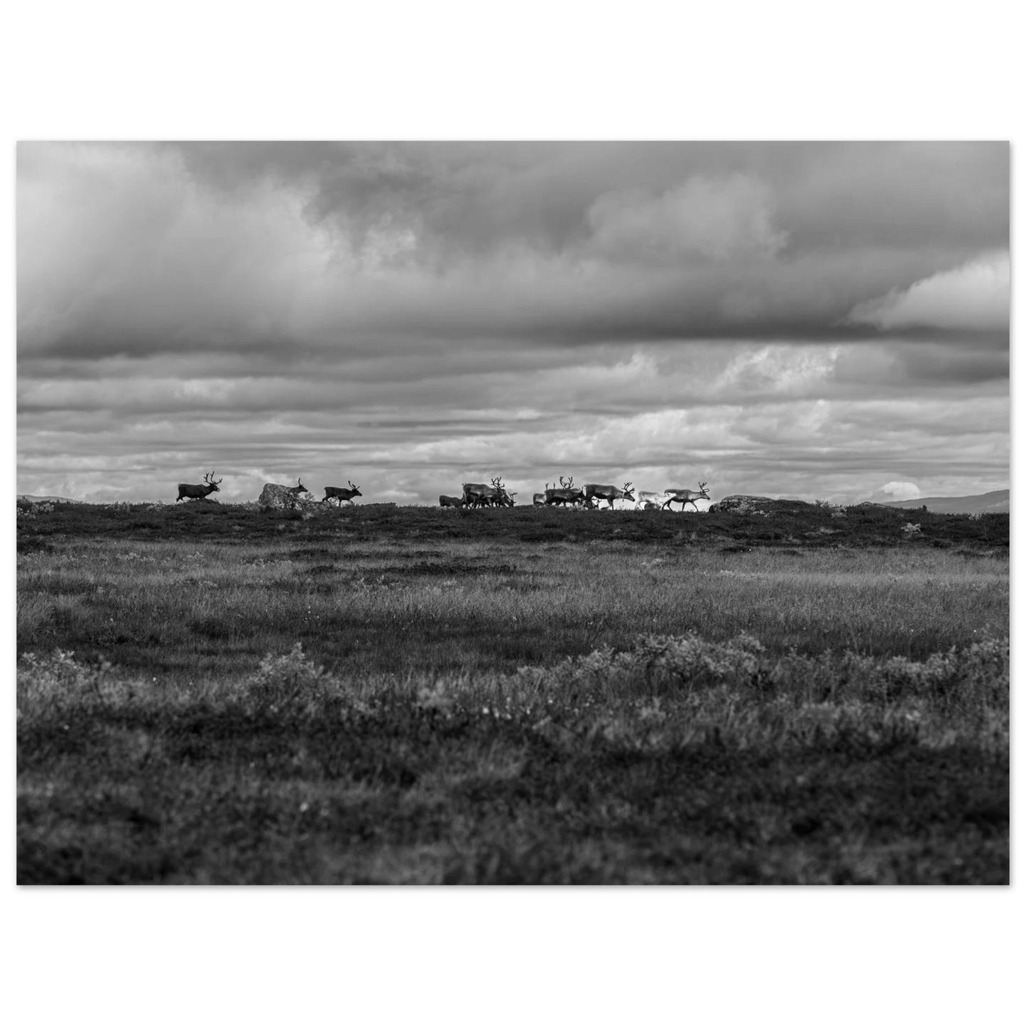 b459740a-4dca-491e-92fb-92c50b7380a3