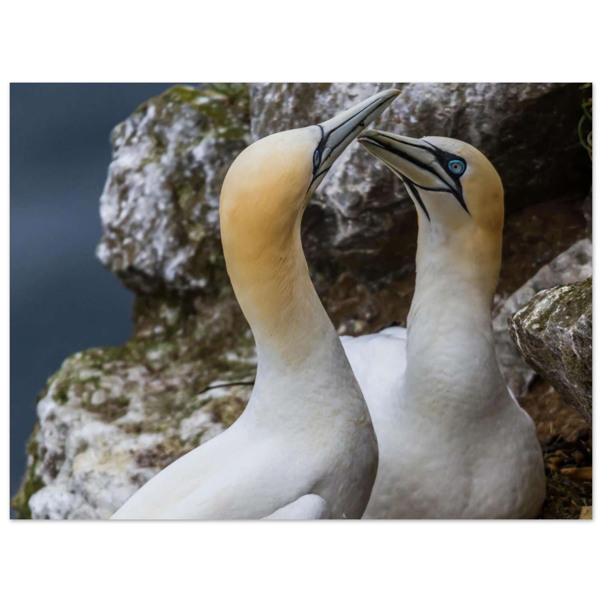 b4afdcd7-7740-48d2-8469-1570c46fb8e3