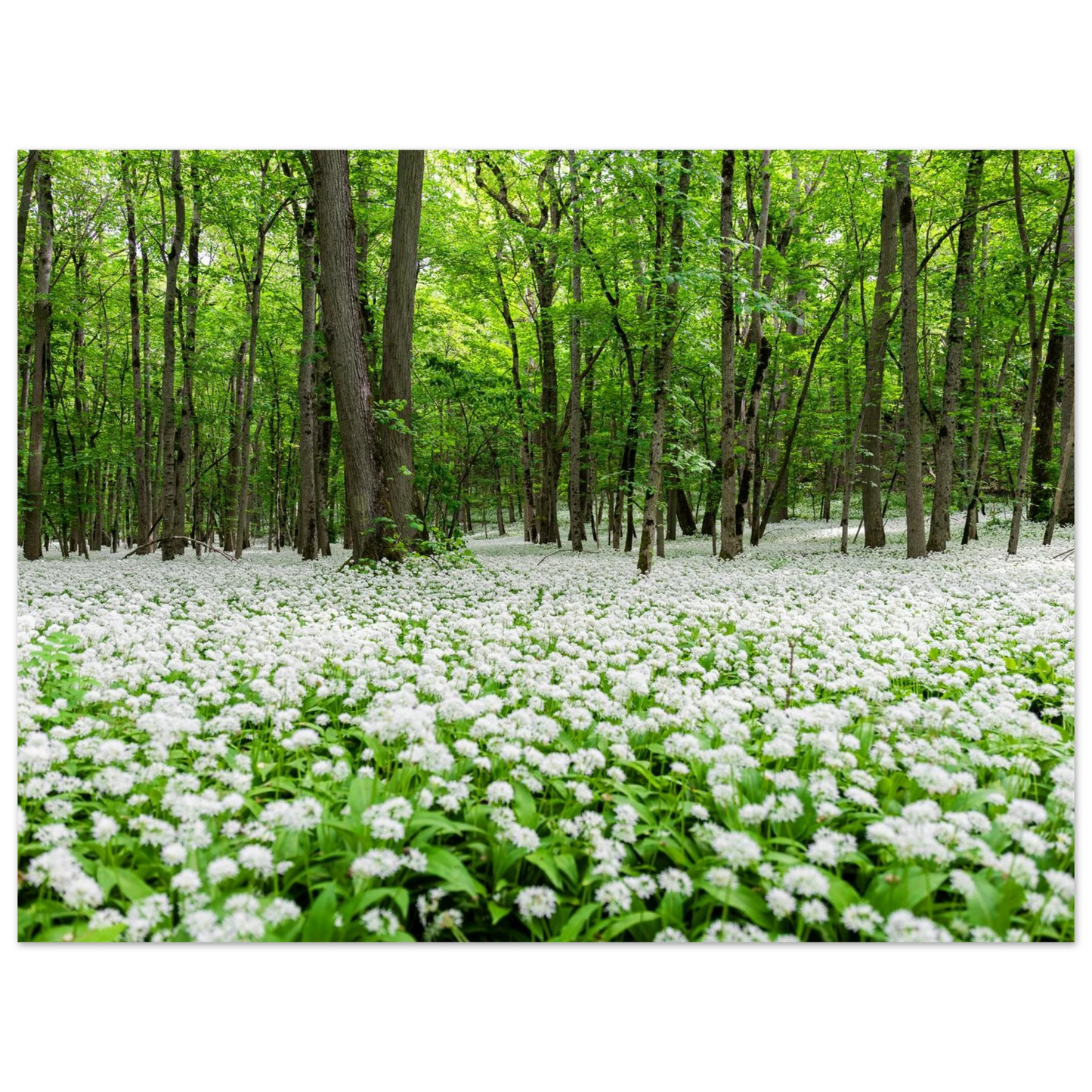 b8f6e44d-d4fe-4e02-9546-75042a661456