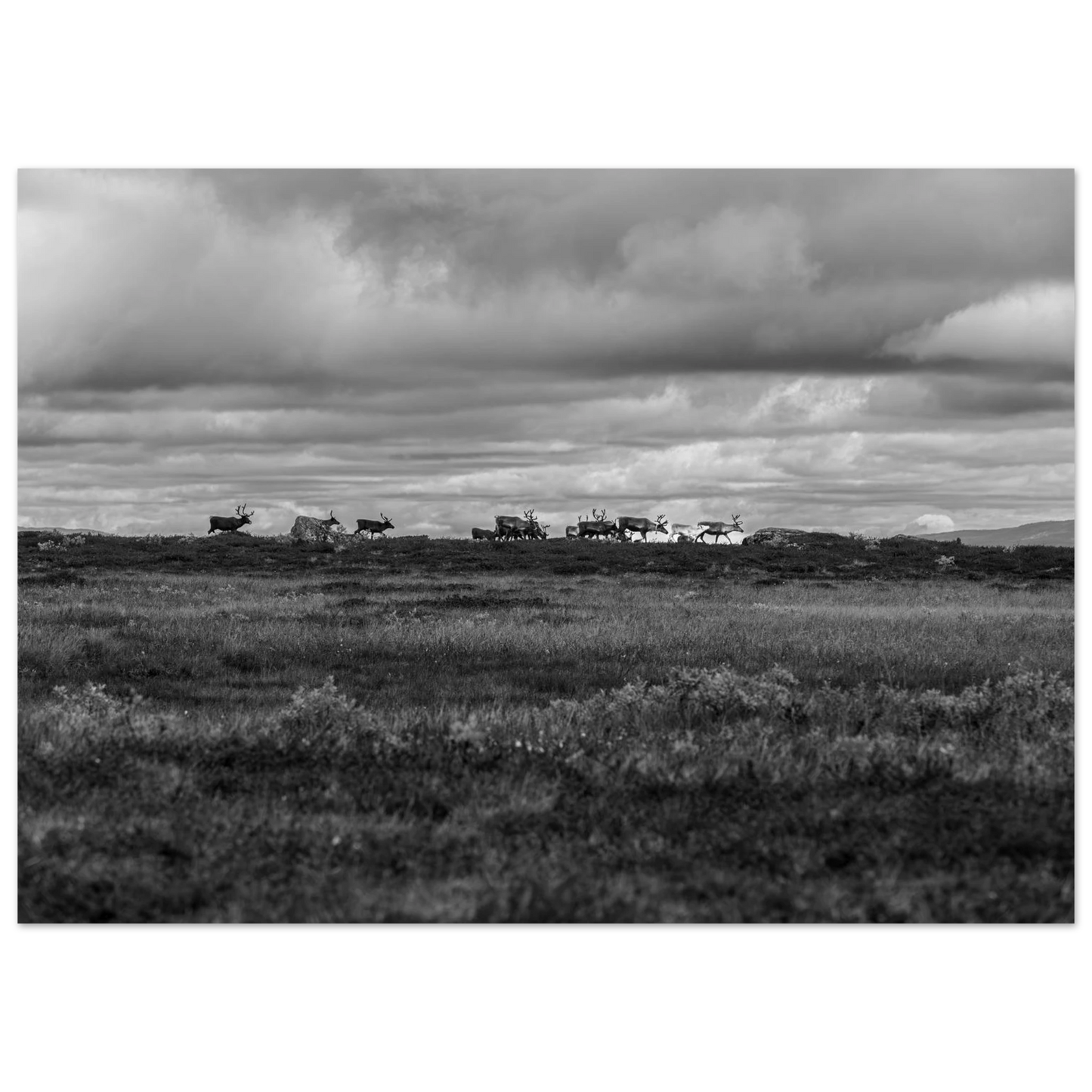 bb7ee657-1bf0-4af3-90f1-595f98bf31e5