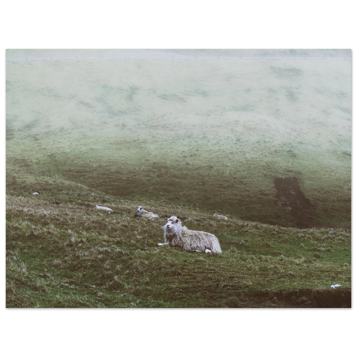 bf2a9566-e724-4482-b846-49debd215e62