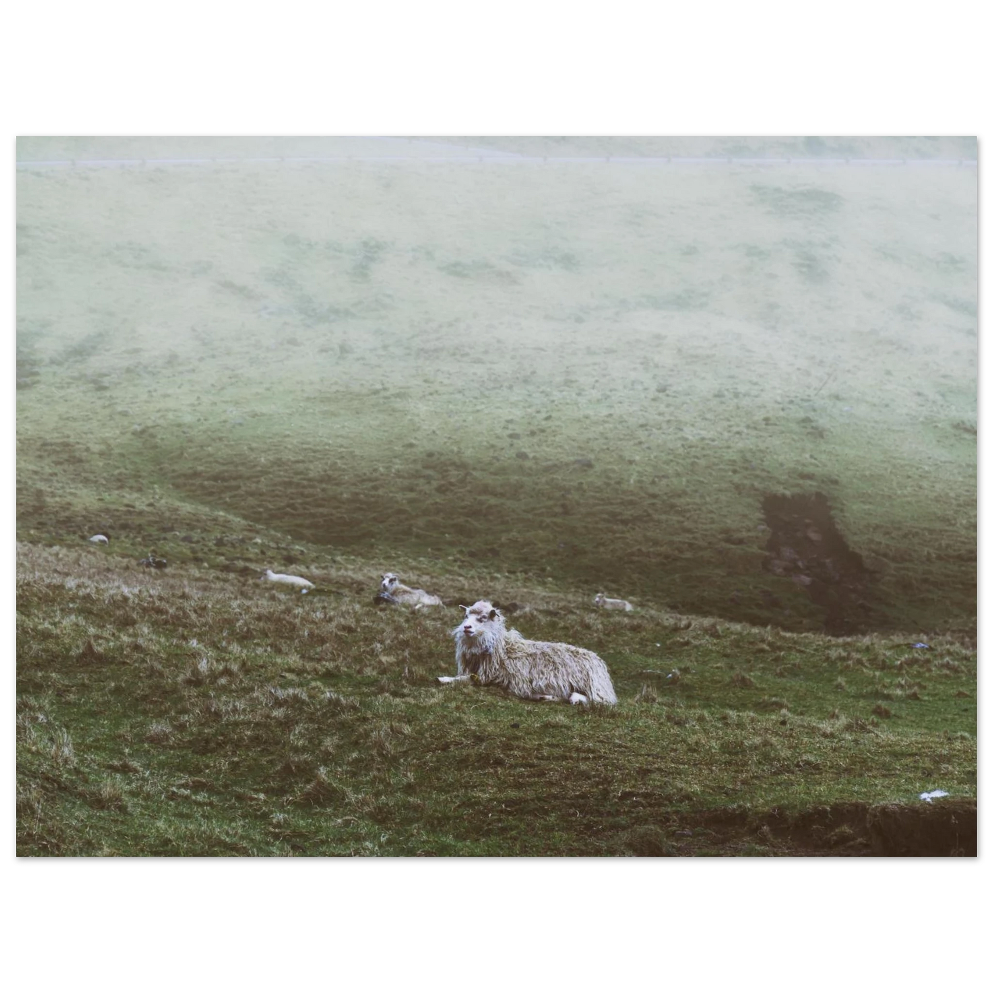 bf2a9566-e724-4482-b846-49debd215e62