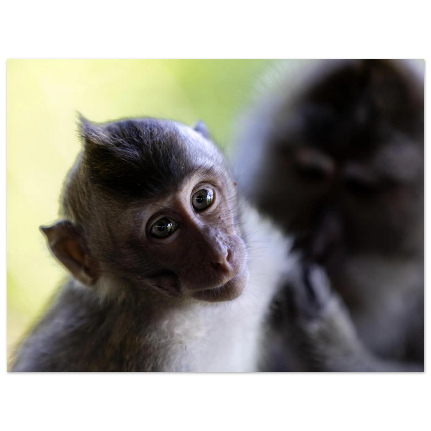 c3a960e5-bb74-45f4-ba0d-510996c7599f