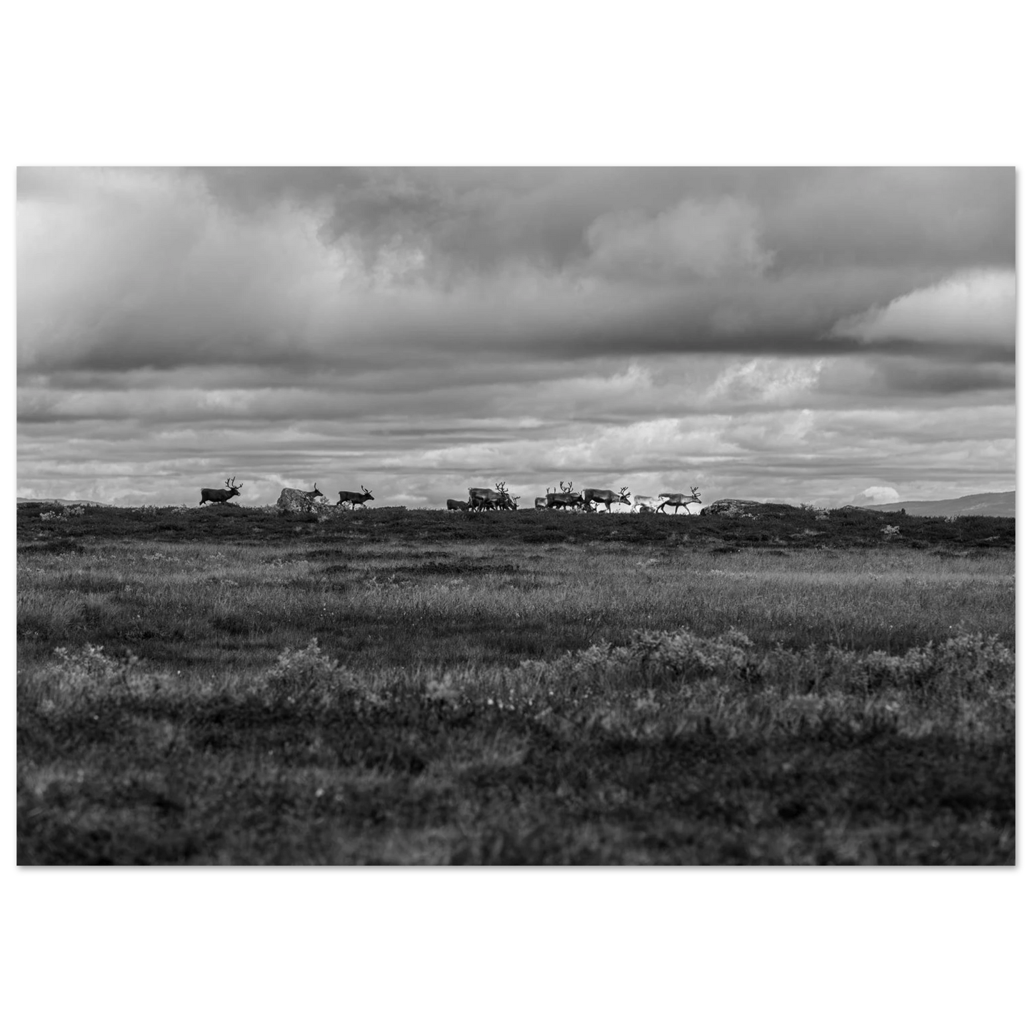 c5ed462d-4da5-49fd-9c29-9e51a0725405