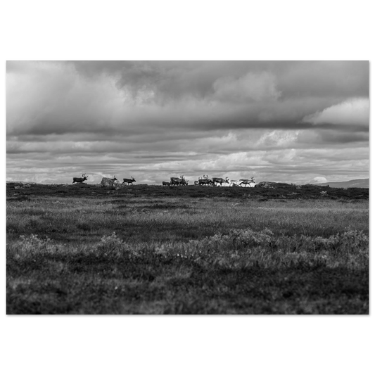 c5ed462d-4da5-49fd-9c29-9e51a0725405