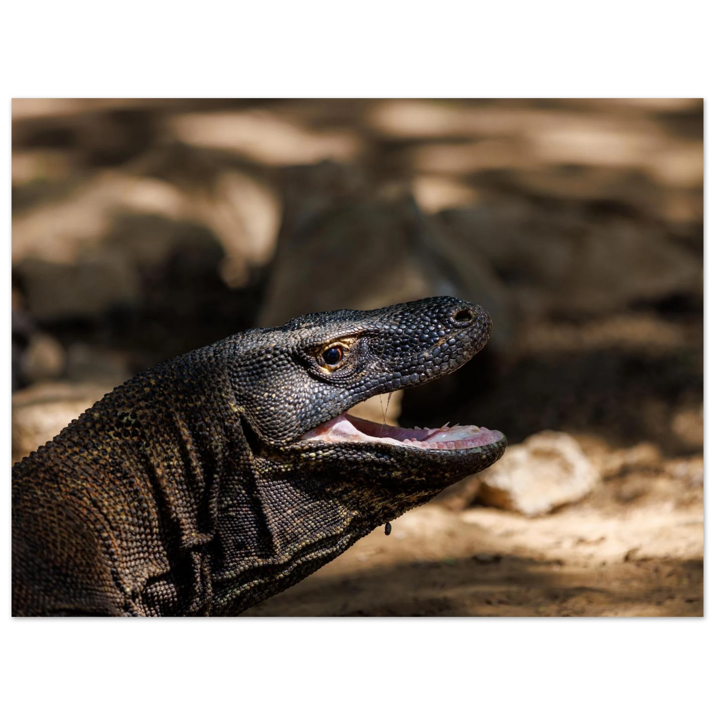 c61a10d3-3592-4139-8e1f-074ece8fba2d