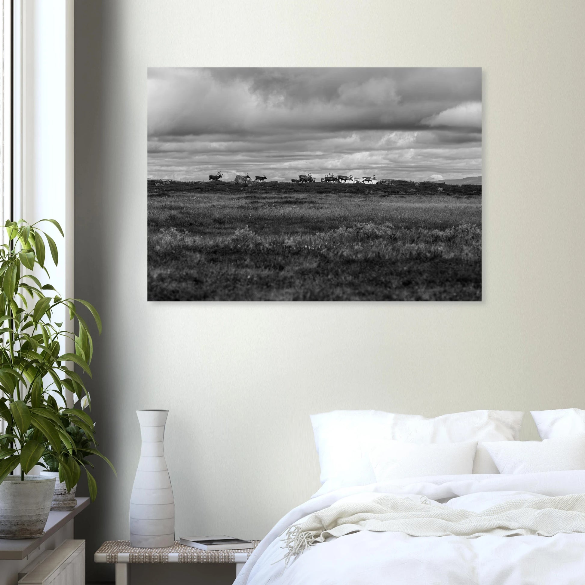 c7a893c9-8fe6-430c-9956-4931bf477e6b