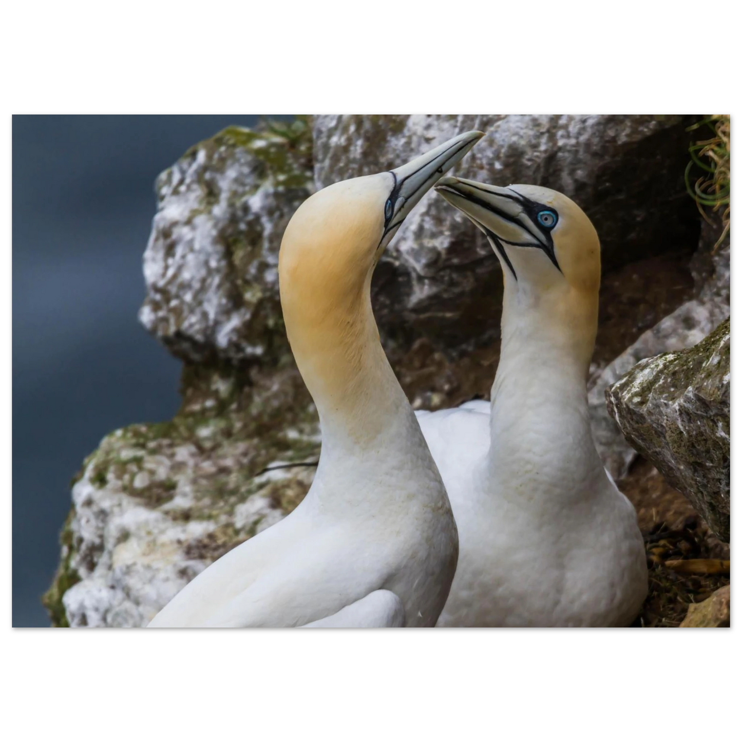 c7d8ff53-5c56-4745-8111-d3a30abcc30c