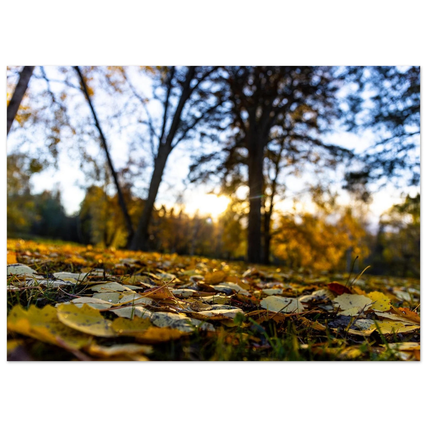 c9174eeb-8b34-4e0c-ab01-612c9d5364d6