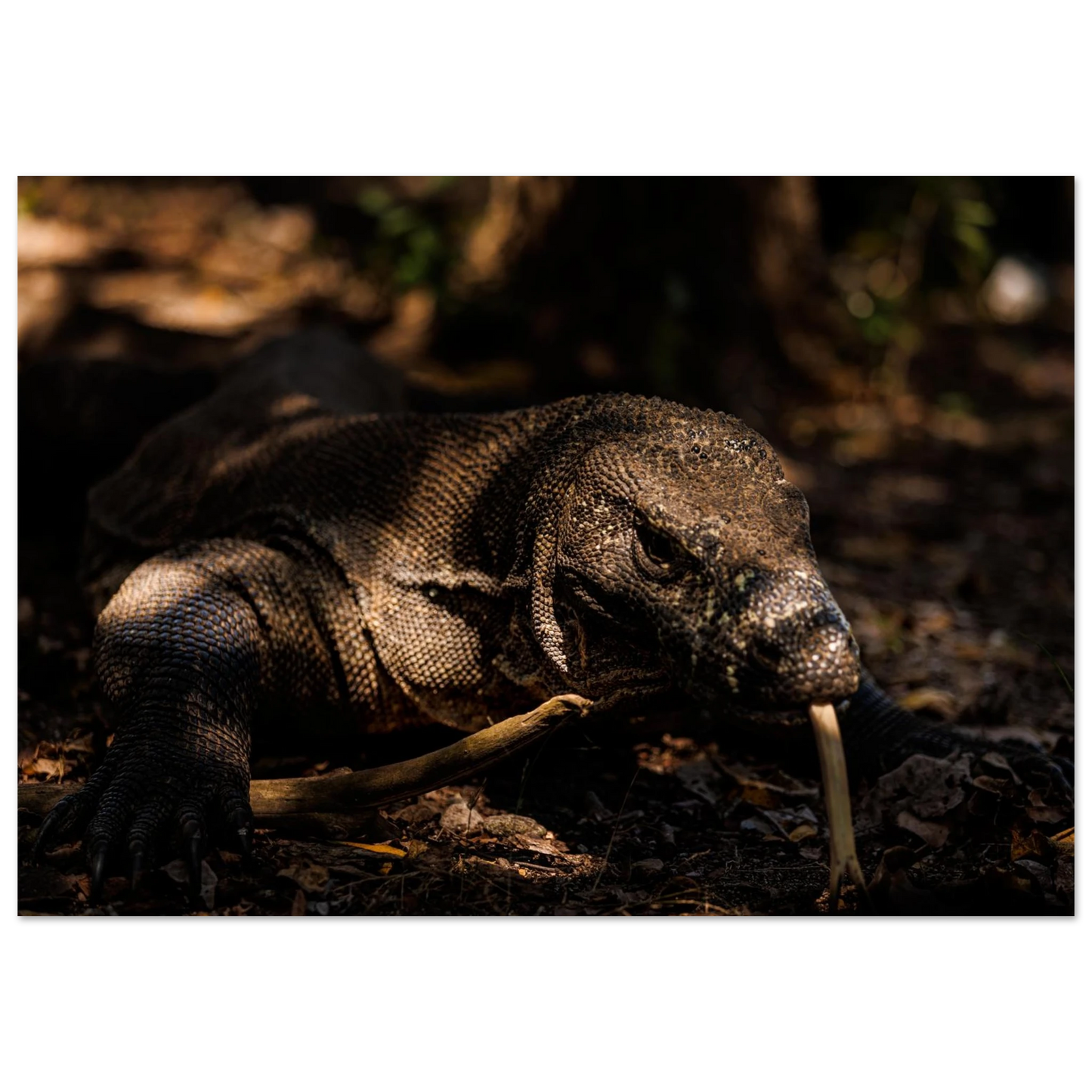 cb111c2c-d7c9-4770-b5e6-c06b879a33e9