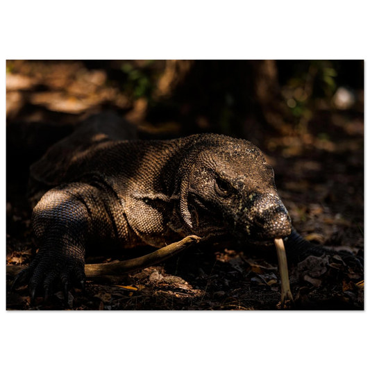 cb111c2c-d7c9-4770-b5e6-c06b879a33e9