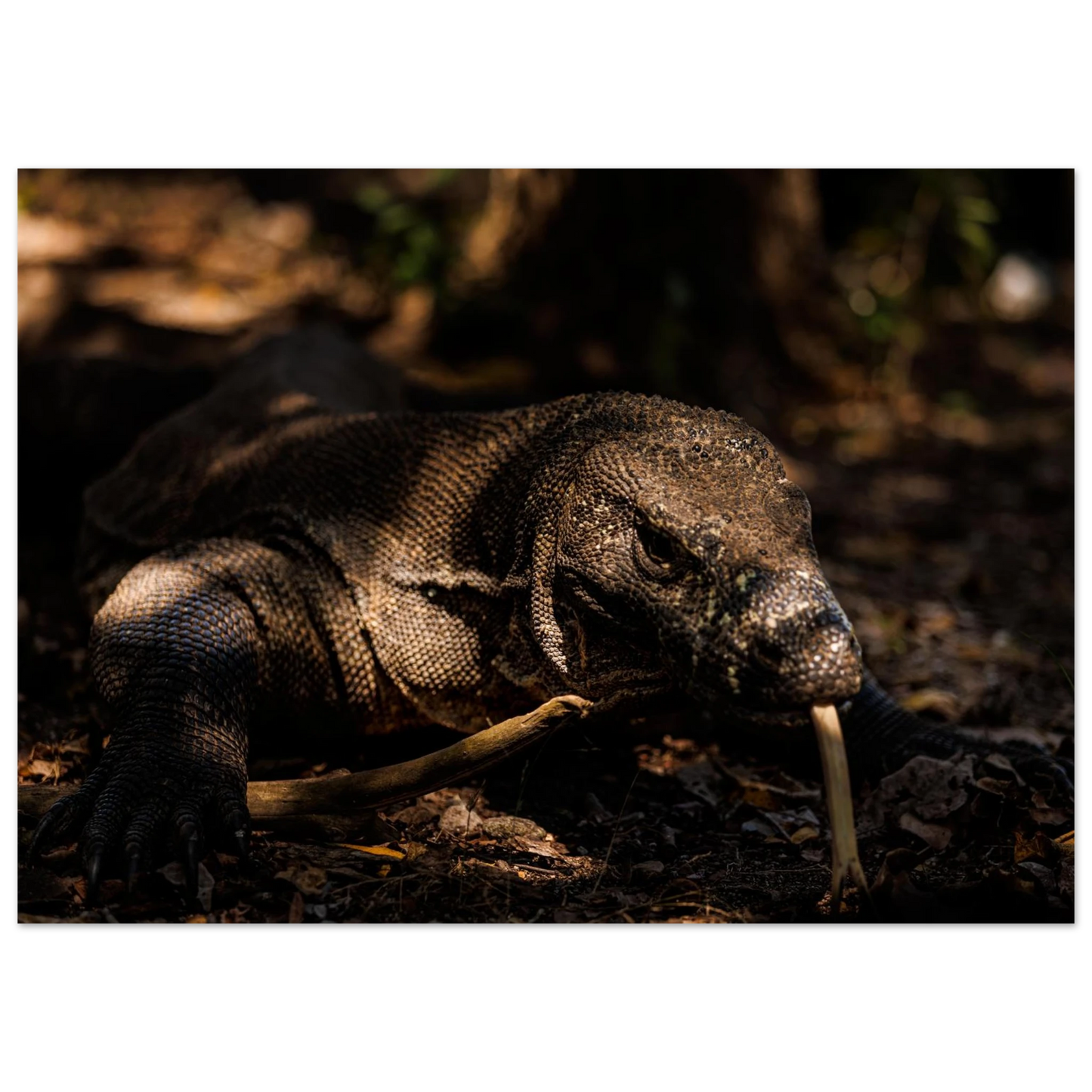 cc2cfb0e-8b2a-459b-8911-733b2ec597d3