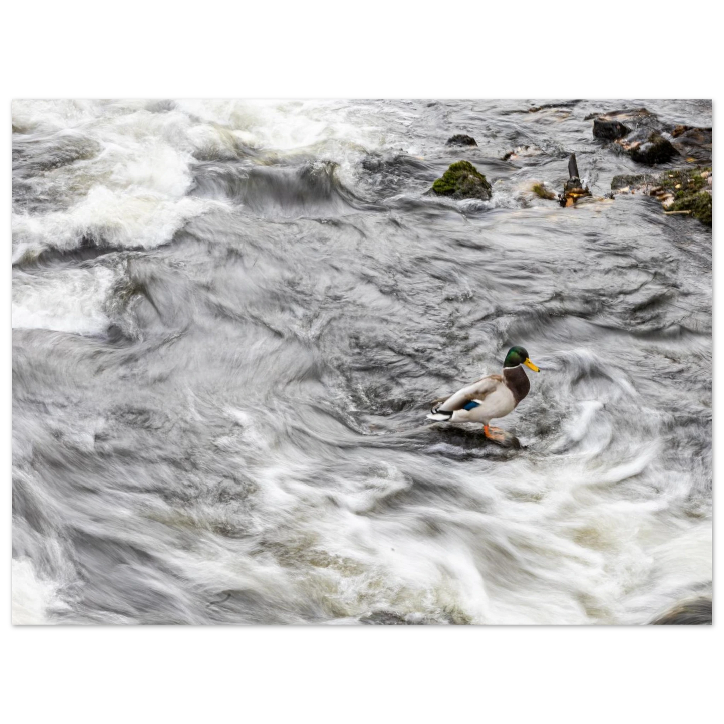 d335b9e9-b52b-4dad-ac57-0cd786ad2cca