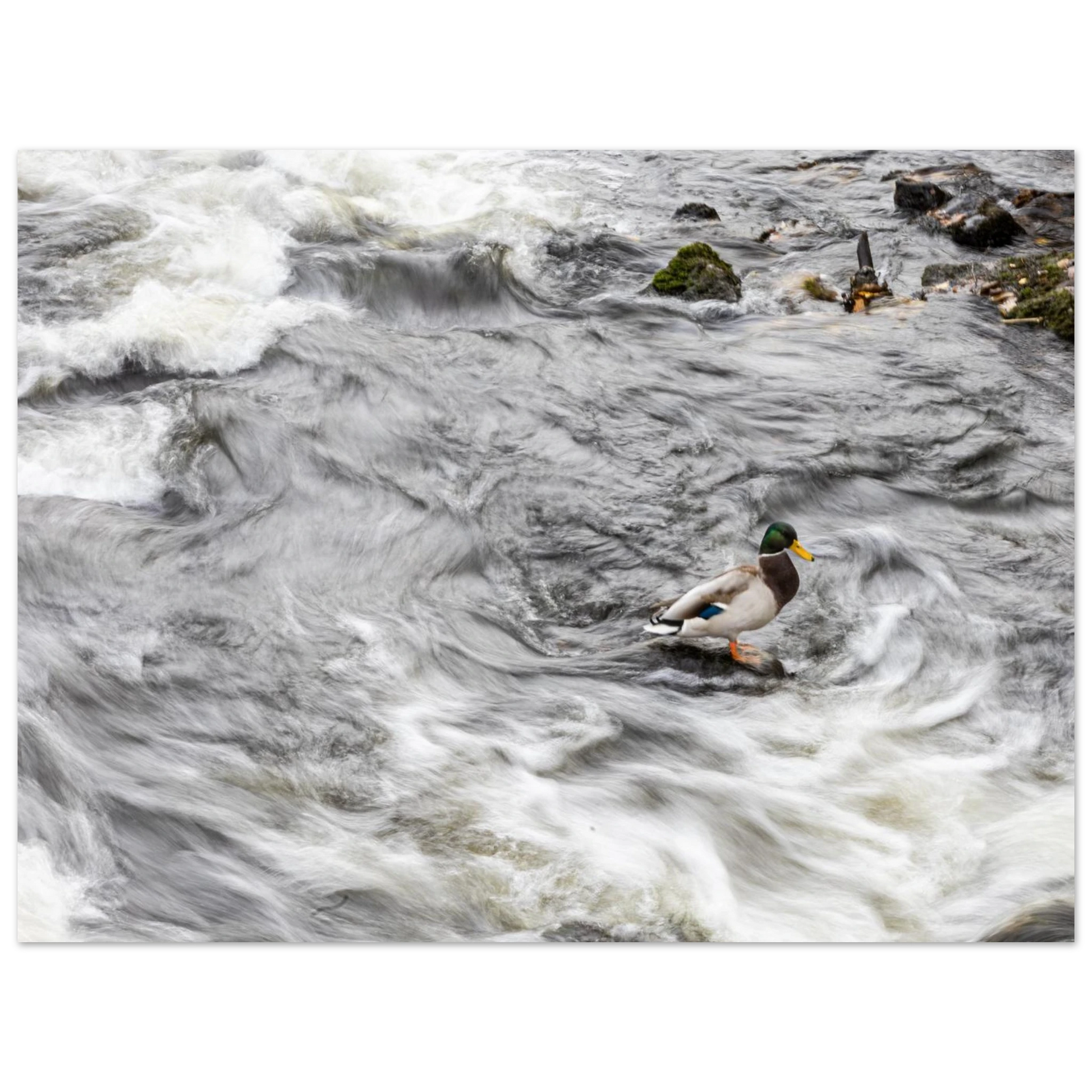 d335b9e9-b52b-4dad-ac57-0cd786ad2cca