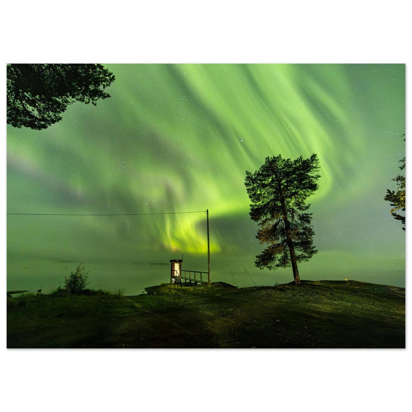 d380663b-af9d-415b-9e41-cb4354a57e3e