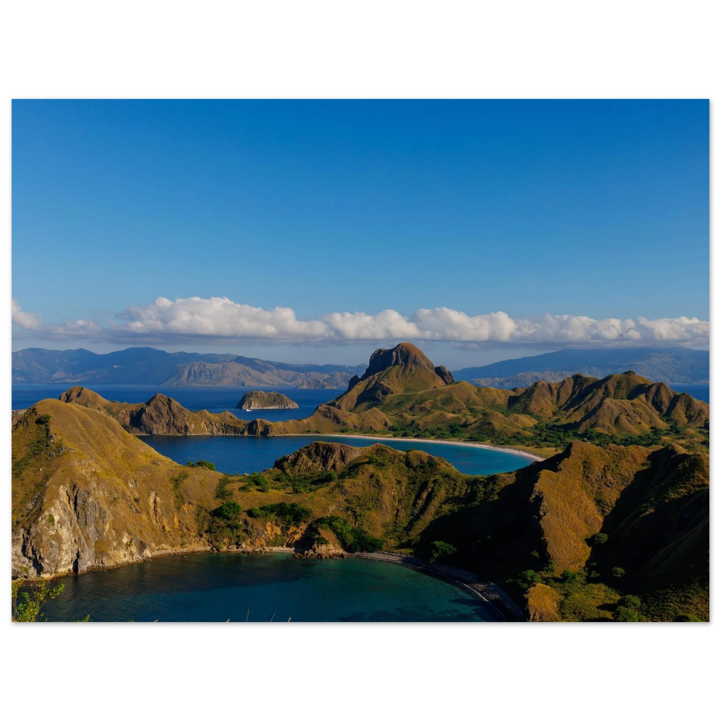 d569d8f0-409b-49ba-829b-7db21f18972c