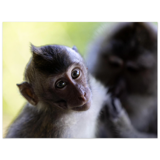 d677fddb-e341-4692-a53a-1cf870c8559b