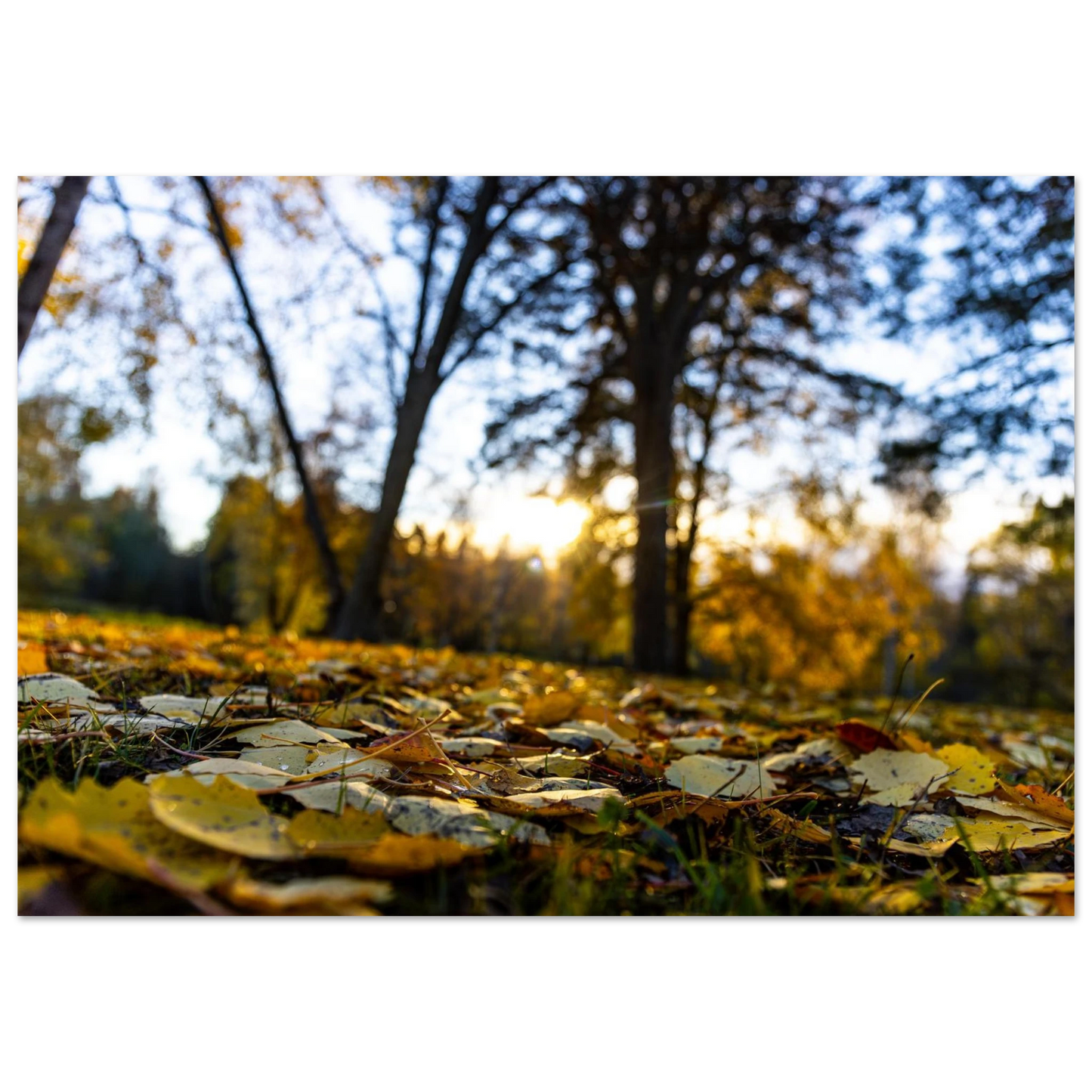 e7108454-2258-46f4-9123-7205c76d3ede