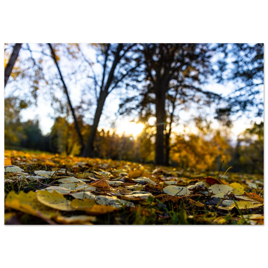 e7108454-2258-46f4-9123-7205c76d3ede