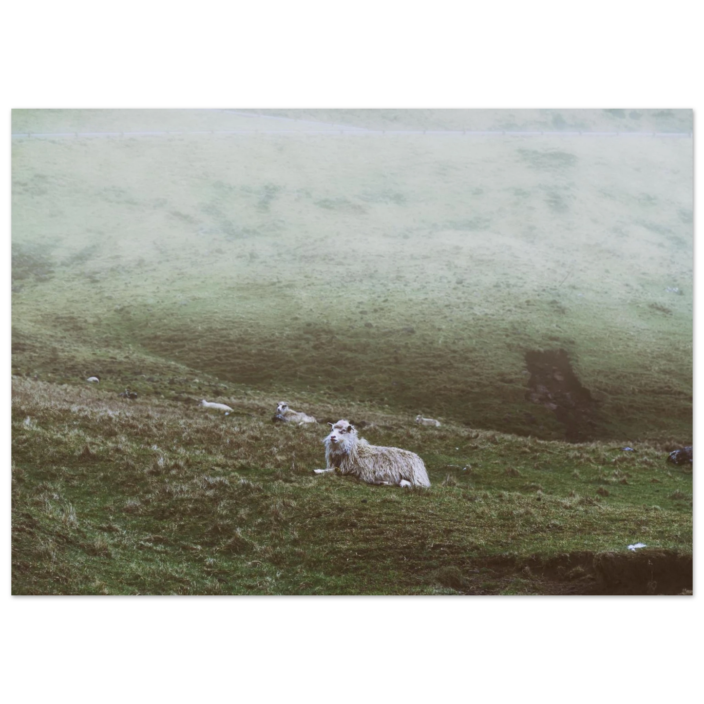 eb16389a-d823-4800-b52a-95a61c67c2c1