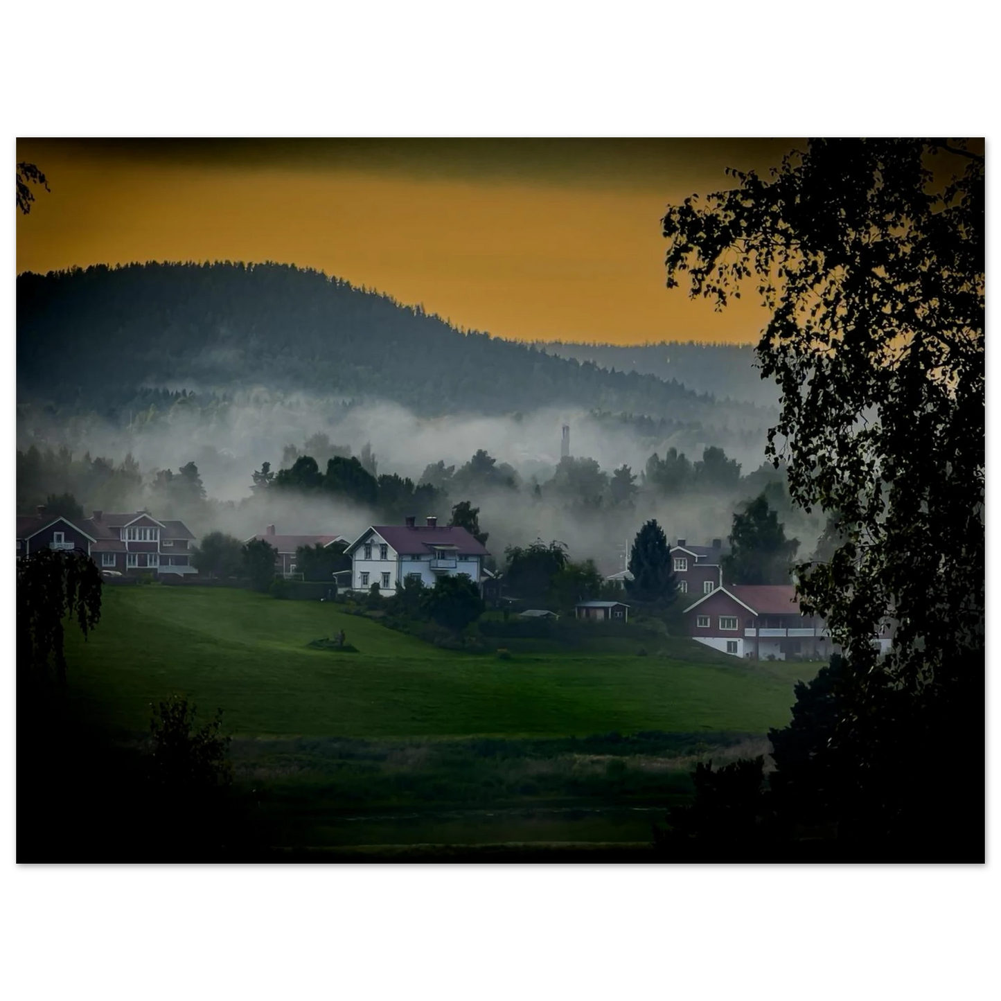 ed5ee6f9-3582-4f41-a713-6ee7f03cf85c