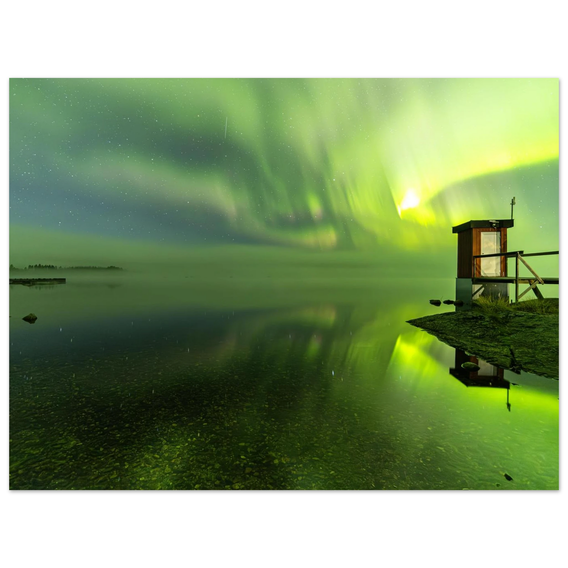 f02d0c6a-4360-46d5-9adb-802da698ac28