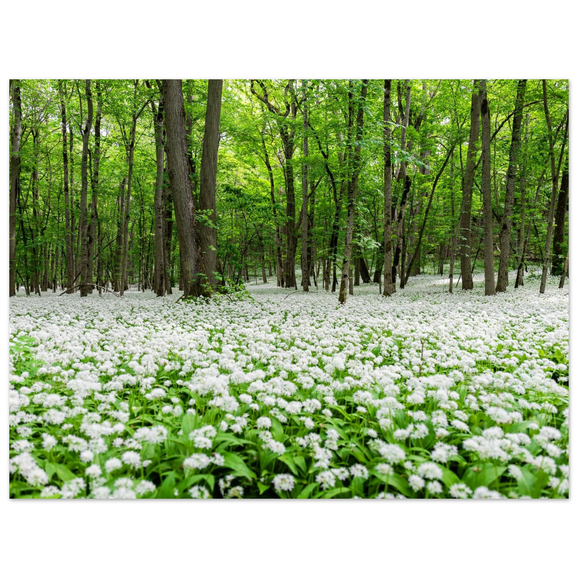 f5c12472-6b95-4672-aa22-01446f7e7d3d