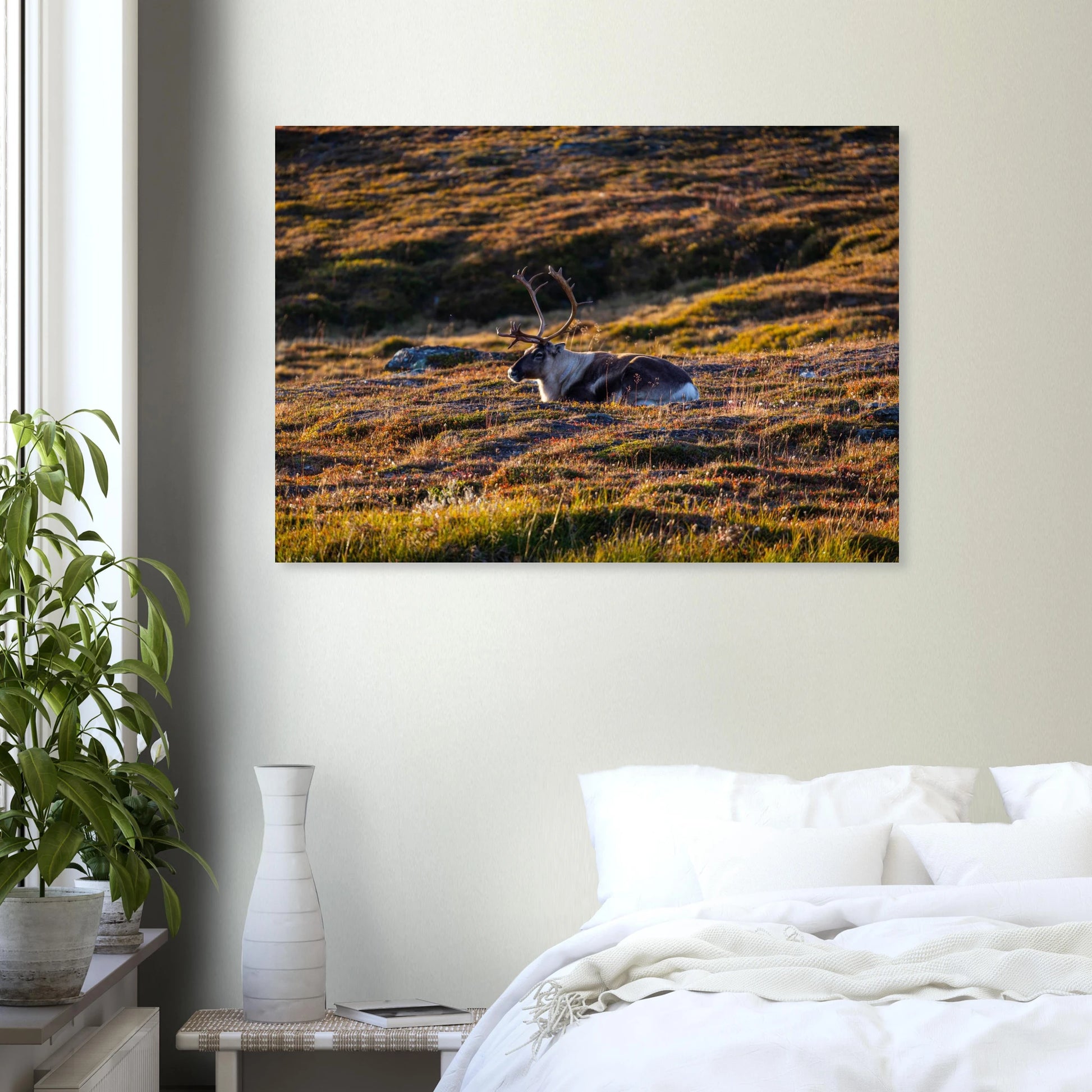 f8ef7a9c-3805-4659-831d-07f6330801c6