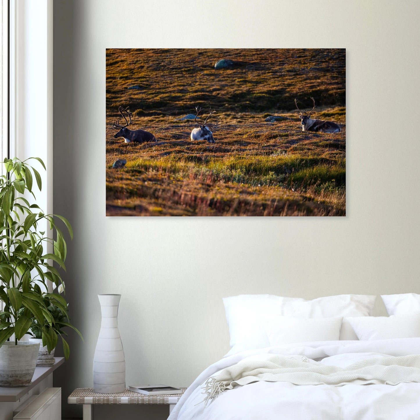 fab5475d-1025-4474-8ace-fb75560735e4