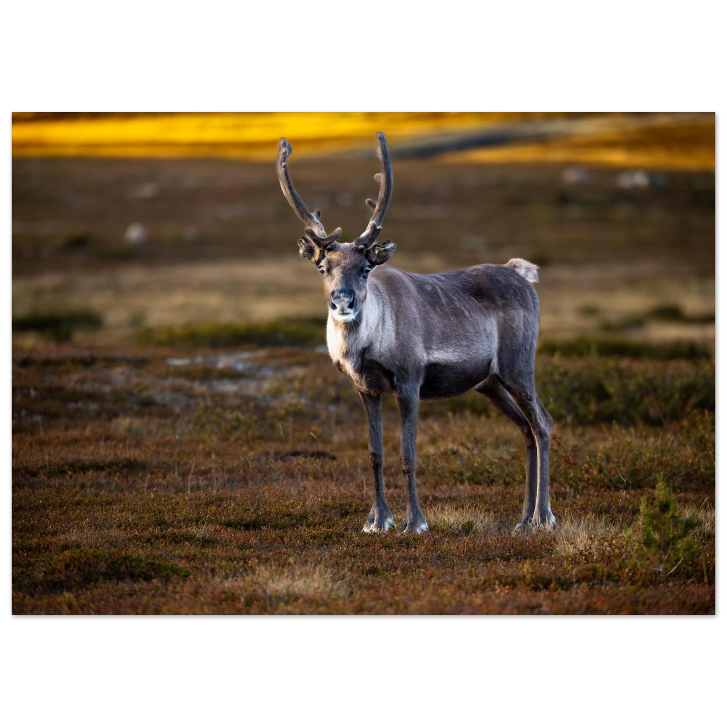 fcb84147-248e-4b12-8ebc-a27b003aec2c