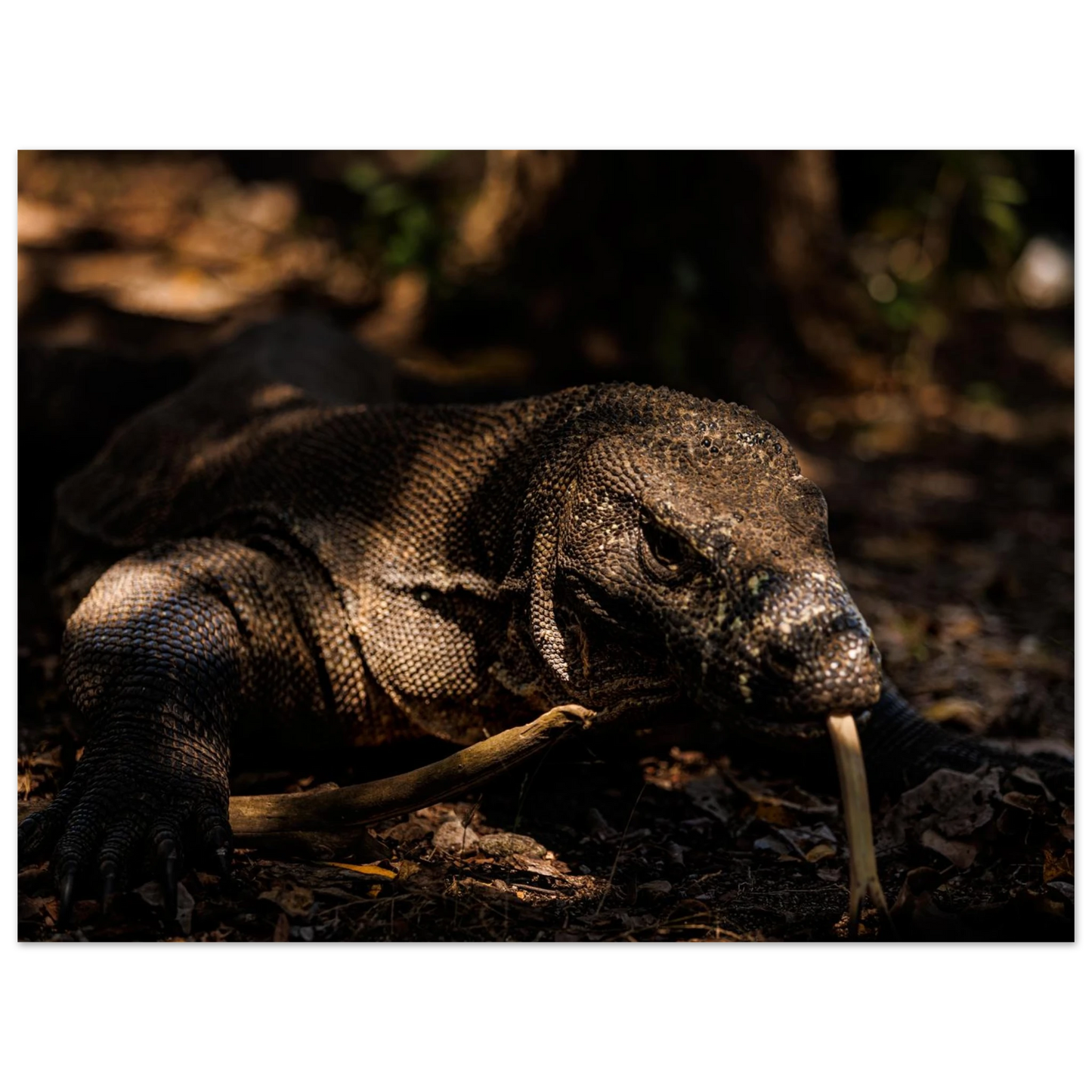 fee3120b-9660-4b5d-9b2b-ec2613bdc7b7